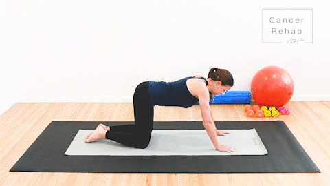 animated clip of physical therapist on a yoga mat on hands and knees, sitting back to her heels for a child's pose stretch