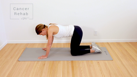 A woman on her hands and knees inhaling and exhaling in a cat cow position.